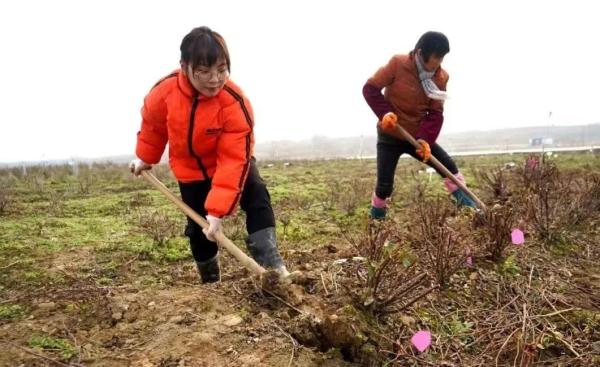 当代年轻人返乡现状：95后成了非遗传承人，90后变养牛大户……
