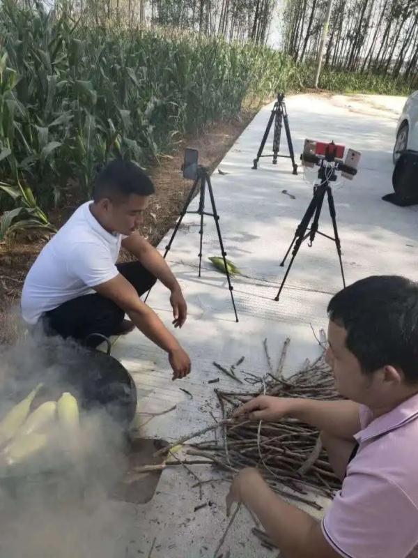 当代年轻人返乡现状：95后成了非遗传承人，90后变养牛大户……