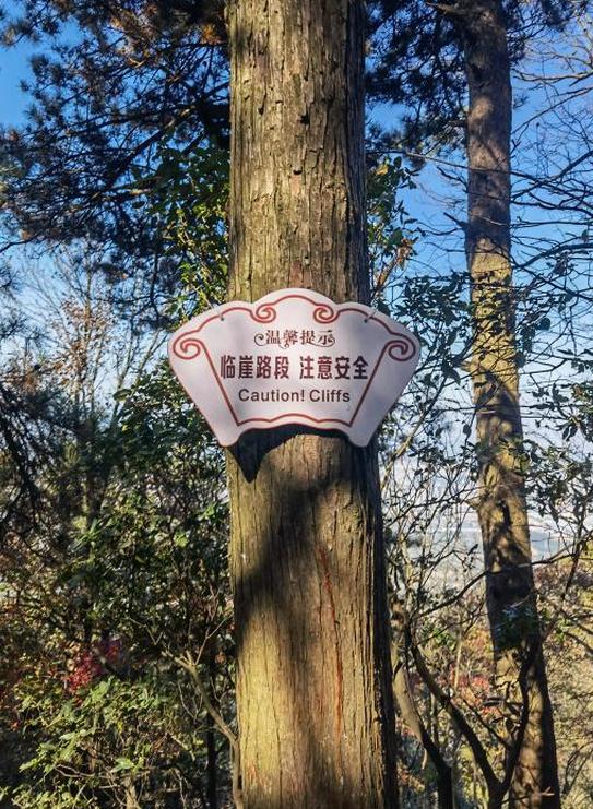 大学生爬庐山坠亡,父母索赔90万被驳 大学生爬庐山坠亡,父母索赔90万被驳