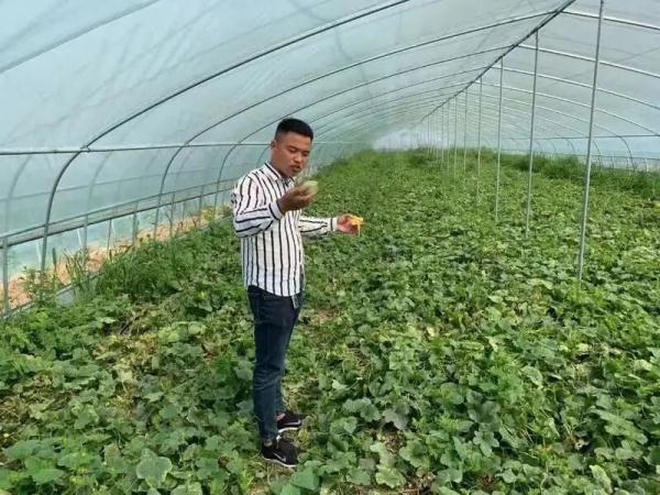 当代年轻人返乡现状：95后成了非遗传承人，90后变养牛大户……