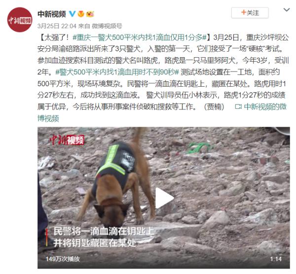 “硬核”考试！500平米内找1滴血需要用多久？