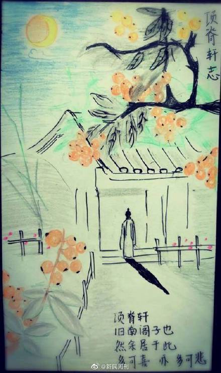 语文是美术老师教的 ？项脊轩志被画成插画