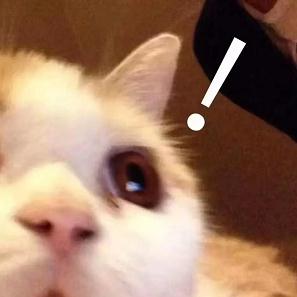 “您好,您的外卖正在……”砰!撞了! “您好,您的外卖正在……”砰!撞了!