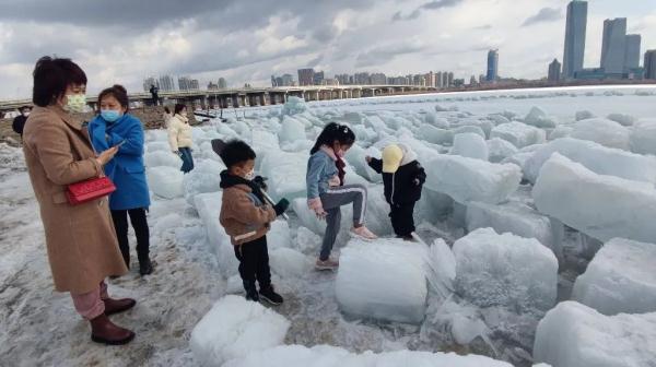 哈尔滨的冰块火了,被网红当成钻石海打卡!但仍需注意… 哈尔滨的冰块火了,被网红当成钻石海打卡!但仍需注意…