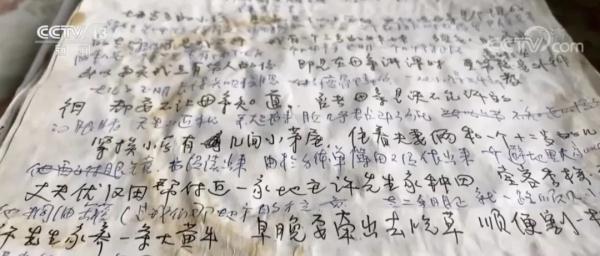 在厨房写作,80岁后连续出版3本书,她的故事令人动容 在厨房写作,80岁后连续出版3本书,她的故事令人动容