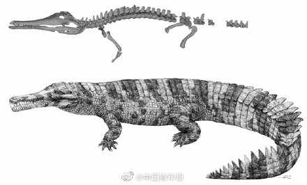 古生物学家发现史前鳄鱼新物种 为何借用大文豪韩愈的名字