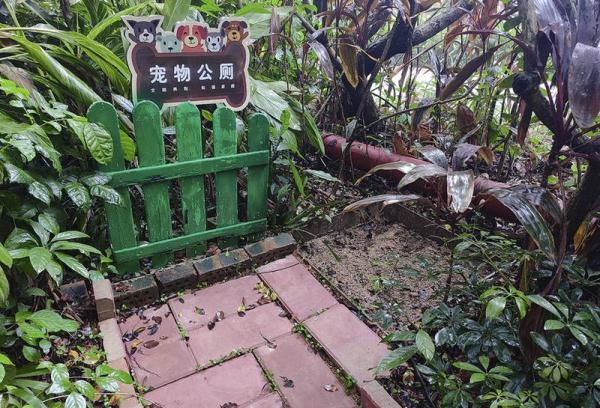 文明养犬有新招，南宁多个小区设立“宠物公厕”