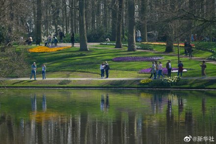 荷兰库肯霍夫公园面向公众全面开放 荷兰库肯霍夫公园面向公众全面开放