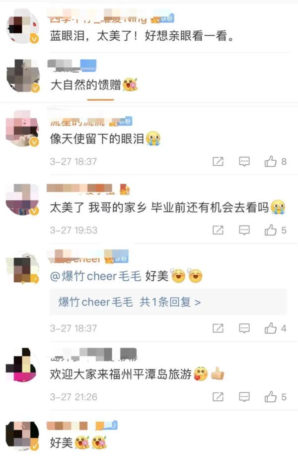 海洋里的极光!平潭今年首波“蓝眼泪”惊艳上线 海洋里的极光!平潭今年首波“蓝眼泪”惊艳上线