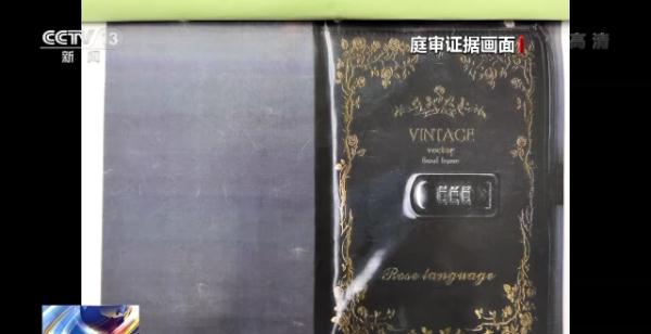 13名“摸金校尉”落网 成员随身带“盗墓笔记”