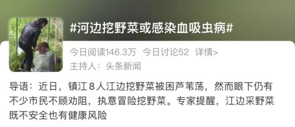 河边挖野菜？小心中毒！