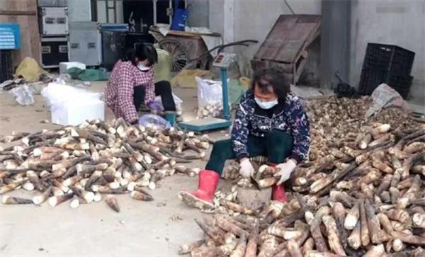 菜来了,水果来了,医护也来了!上海人民不会忘记!多地驰援上海→ 菜来了,水果来了,医护也来了!上海人民不会忘记!多地驰援上海→