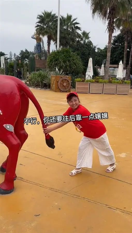 00后小伙“误入”老年旅游团，结果......上了热搜！