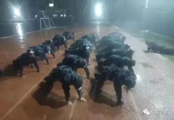 我的警号和爸爸一样