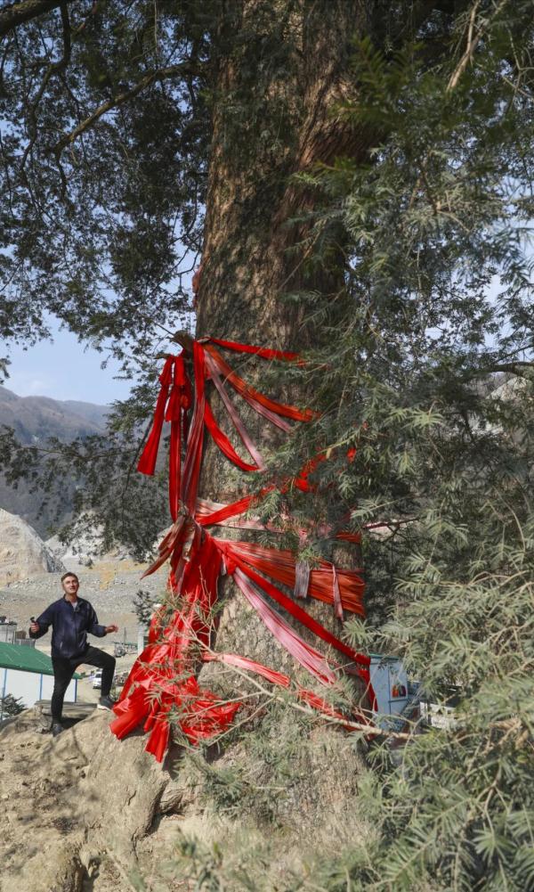 特稿 | 寻找消失的庙堂乡