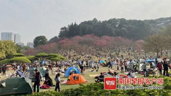 女子被蚂蚁咬后1小时才就医，医生：这样很危险