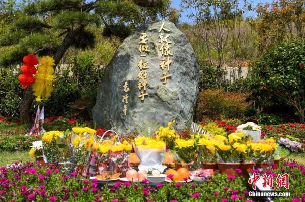 在袁隆平墓前,我们听了一个爱情故事…… 在袁隆平墓前,我们听了一个爱情故事……