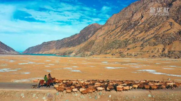 天山深处的“白衣卫士” 天山深处的“白衣卫士”