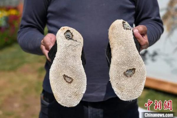 在袁隆平墓前,我们听了一个爱情故事…… 在袁隆平墓前,我们听了一个爱情故事……