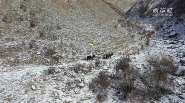 天山深处的“白衣卫士” 天山深处的“白衣卫士”