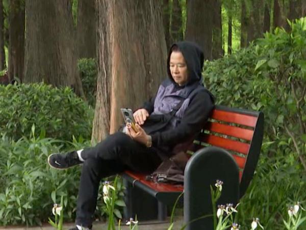 前方“高萌”！野生松鼠群出没广州一公园，街坊们乐了