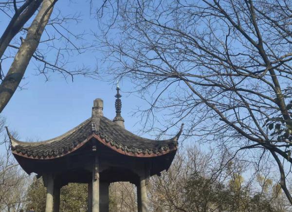 一男子刚刚从宝石山上不慎掉下，山崖离地30米！