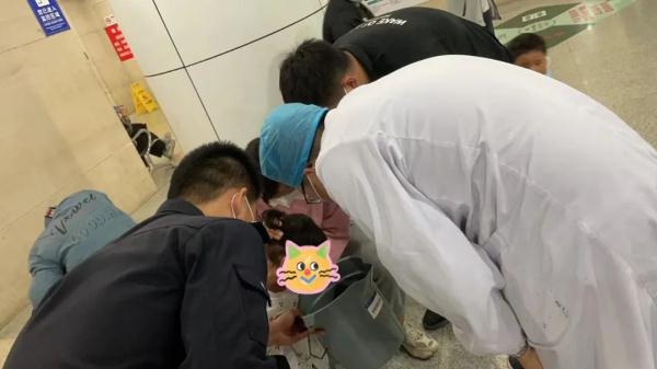 杭州一孕妇派出所门口求助：救救我女儿……
