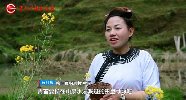 青苔也能做菜吃？！这种奇特的美食，就在贵州这里……