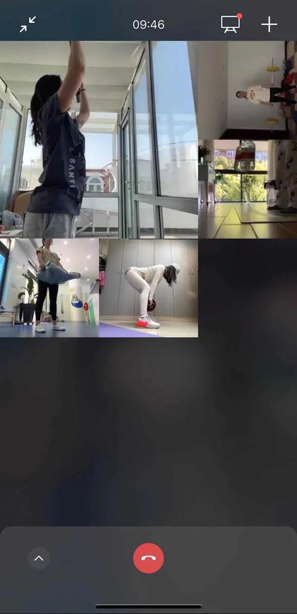 住在宠物医院18天，她和17只动物在一起