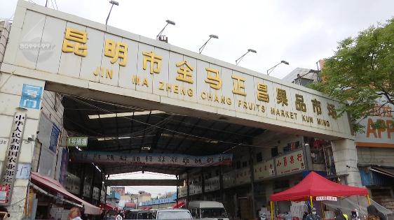 还吃吗?昆明的西瓜近100元/个!降价要等到... 还吃吗?昆明的西瓜近100元/个!降价要等到...