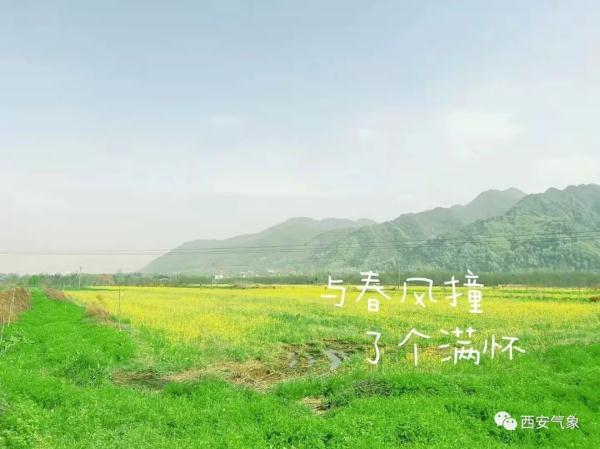 近30℃！西安气温持续“飙升”！