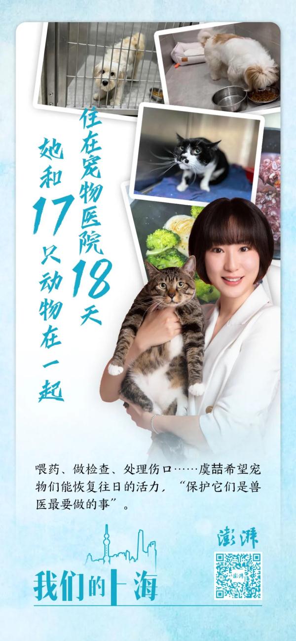 住在宠物医院18天，她和17只动物在一起