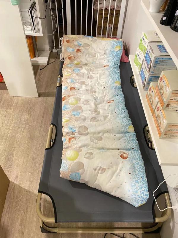 在宠物店和8只猫封控的第9天