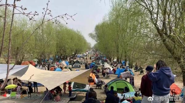 朋友圈“露营”刷屏！这个假期，广东人忙着搭帐篷
