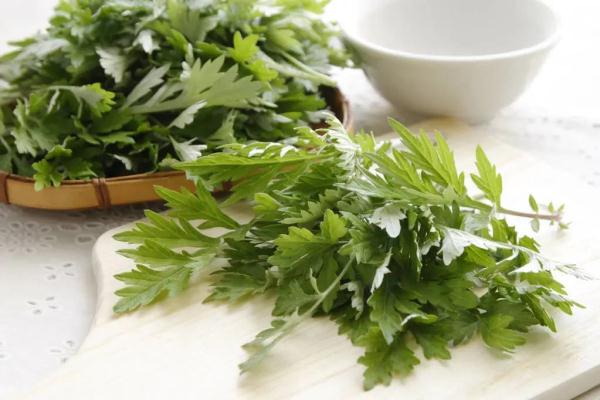 它是春天的“生阳草”！祛湿除寒、疏通气血，助你一年少生病！