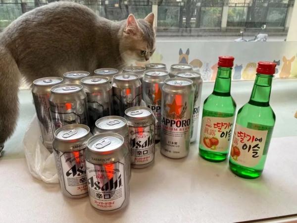 在宠物店和8只猫封控的第9天