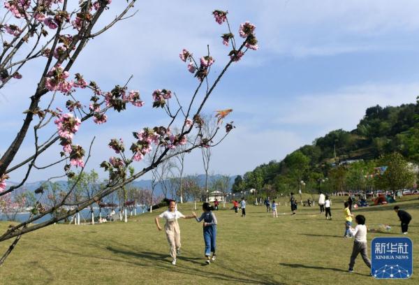 清明节踏青