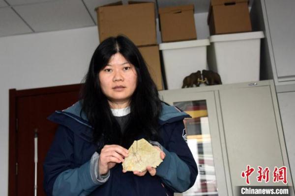 热河生物群这件1.2亿年前化石 为兽类起源提供了新证据