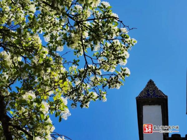 “大洗”之日来了！福州开始晴晴晴晴，听说还“下雪”？