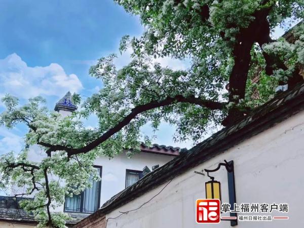 “大洗”之日来了！福州开始晴晴晴晴，听说还“下雪”？