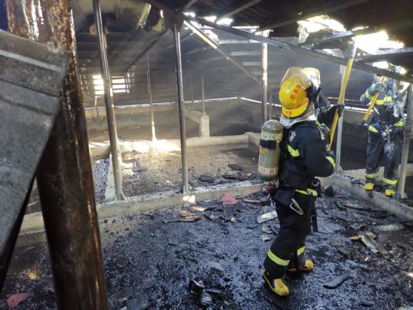 事发上海，居家熊孩子自制放大镜，把家点了！