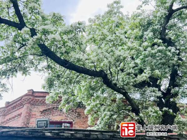 “大洗”之日来了！福州开始晴晴晴晴，听说还“下雪”？
