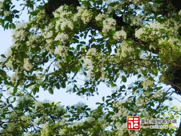“大洗”之日来了！福州开始晴晴晴晴，听说还“下雪”？