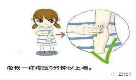 抽血后淤青的真相