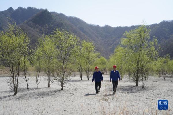 陕西华州：“中国钼都”的矿山绿色蝶变