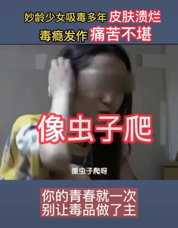 能力作风建设年 | 禁种罂粟铲除毒害，沁阳公安让“罪恶之花”无处绽放