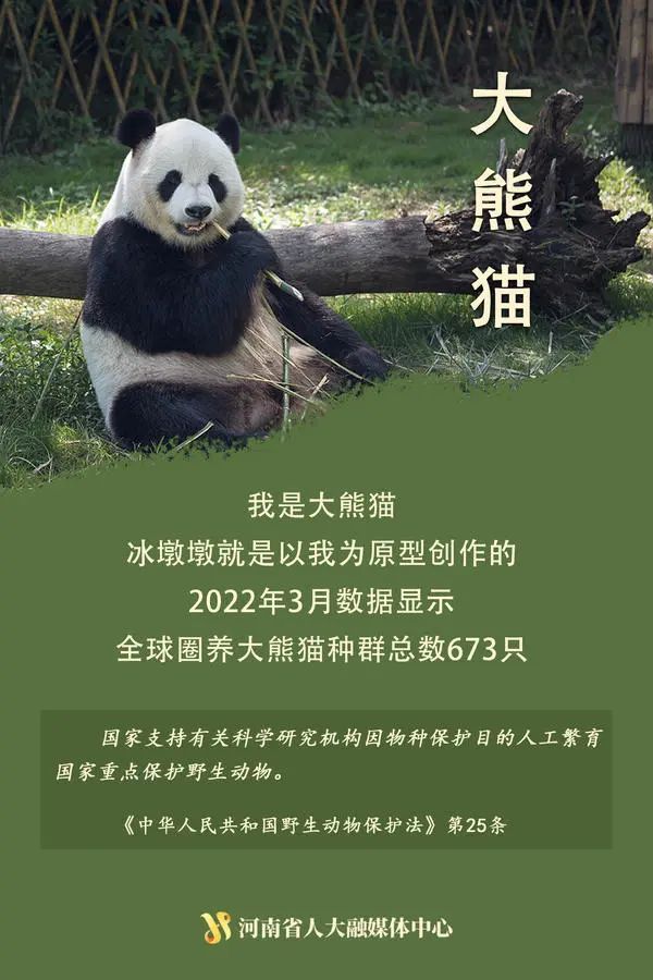 “神奇动物”在这里丨国际珍稀动物保护日，一起来看动物们的自白