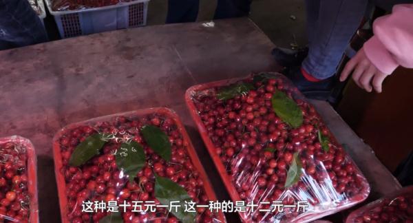 红了！熟了！贵阳街头樱桃已上市，价格卖到了……