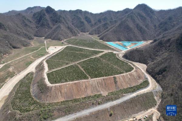 陕西华州：“中国钼都”的矿山绿色蝶变