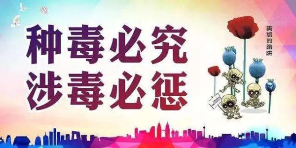 能力作风建设年 | 禁种罂粟铲除毒害，沁阳公安让“罪恶之花”无处绽放